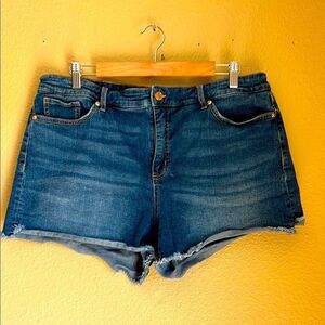 Sofia Jeans Chi Short Cutoffs 14